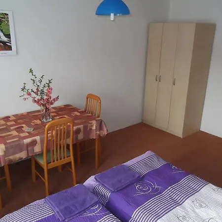 Penzion Apartmany Zlin بيت ضيافة 3*