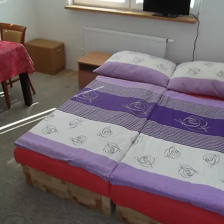 بيت ضيافة Penzion Apartmany Zlin Zlín