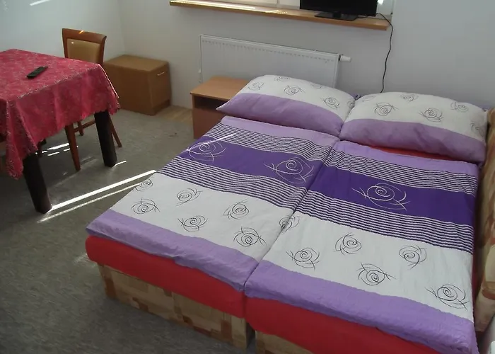 بيت ضيافة Penzion Apartmany Zlin Zlín